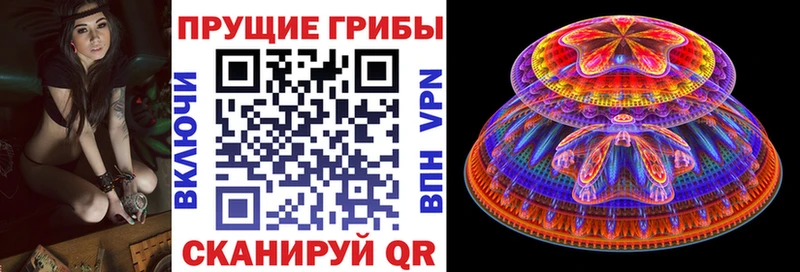 Галлюциногенные грибы ЛСД  где купить наркоту  Сертолово 