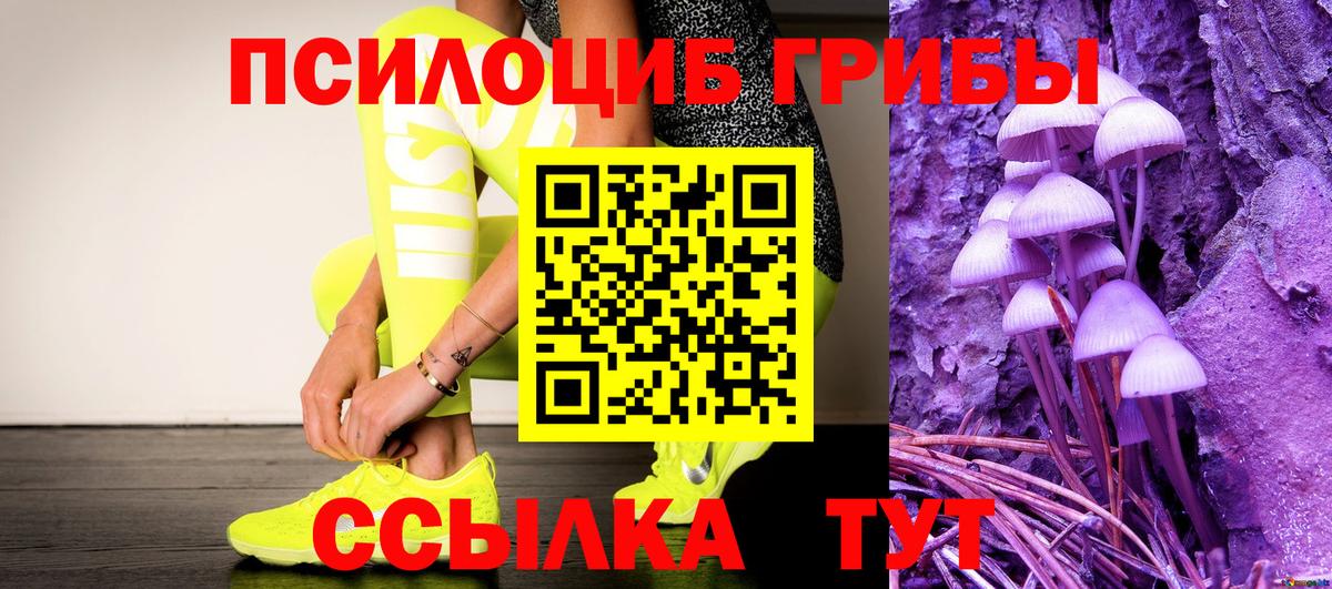 Галлюциногенные грибы Psilocybine cubensis Сертолово