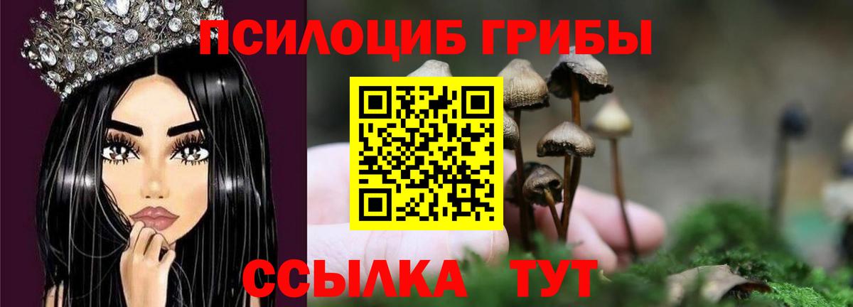Псилоцибиновые грибы ЛСД  Вход с VPN  Сертолово  Галлюциногенные грибы MAGIC MUSHROOMS 